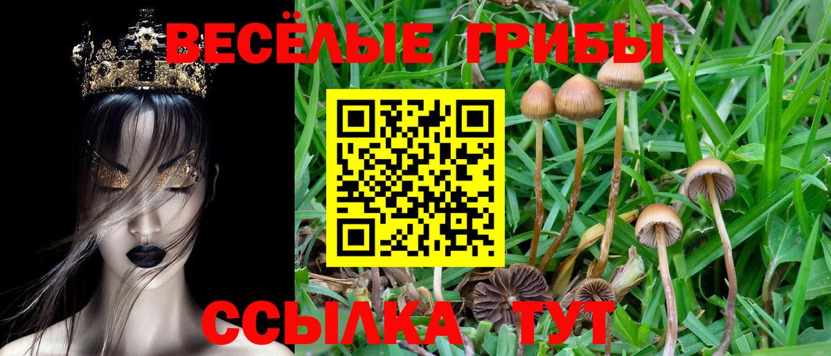 Псилоцибиновые грибы Psilocybe  Вход с VPN  Бугуруслан 
